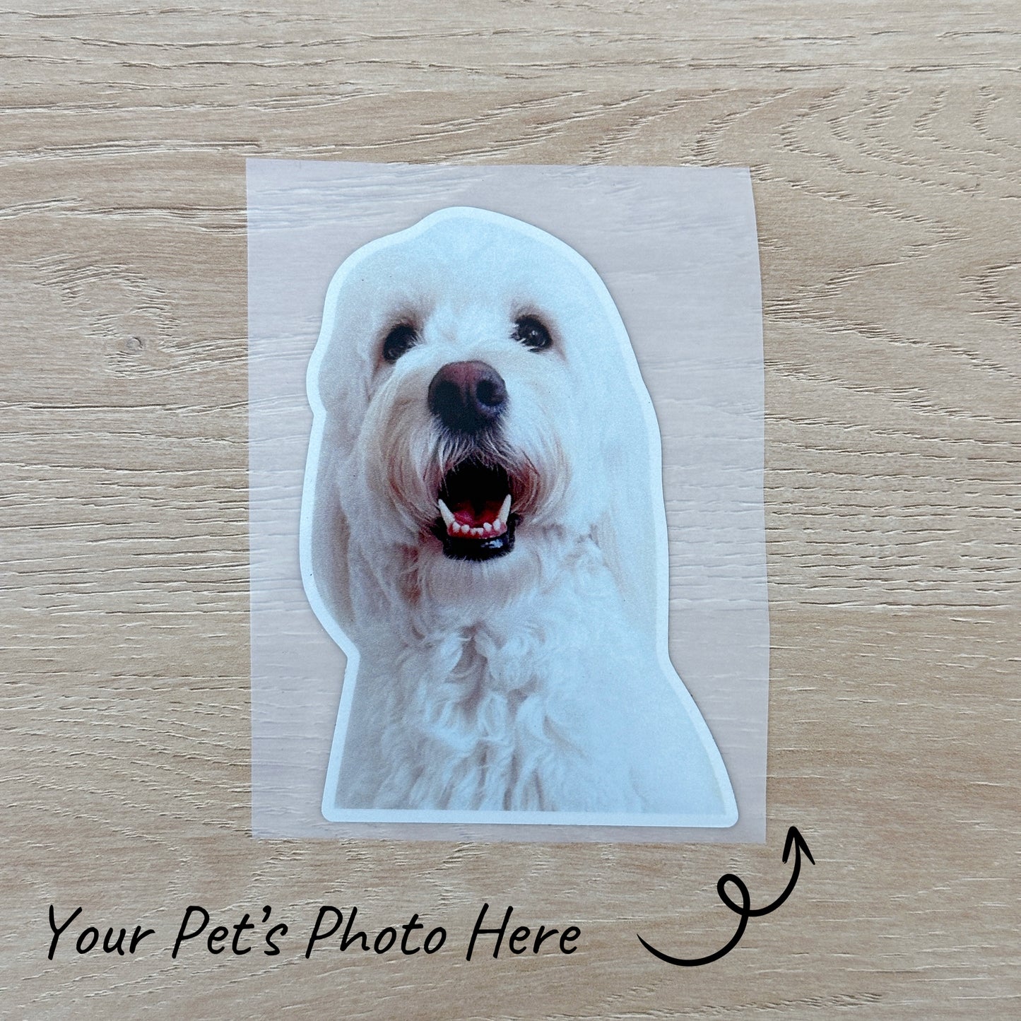 Custom Pet Photo Car Sticker
