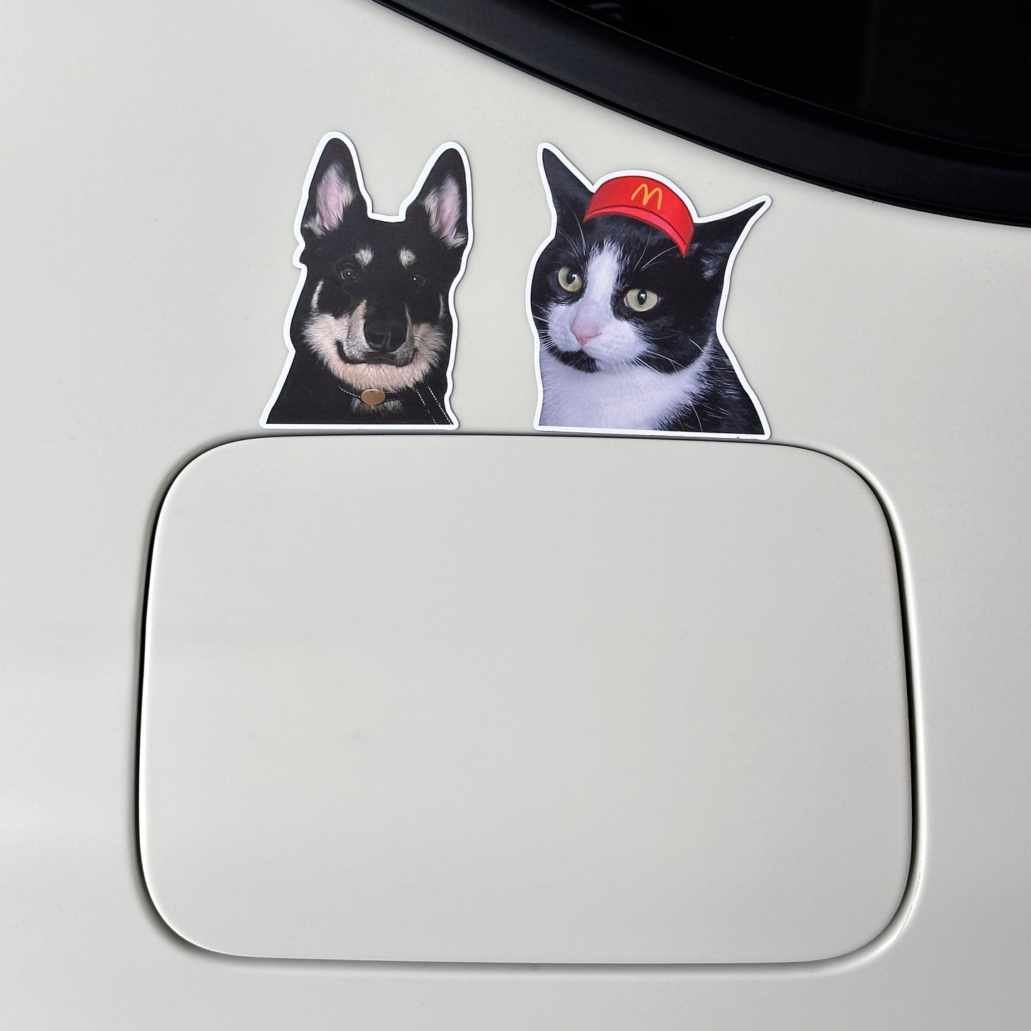 Custom Pet Photo Magnet