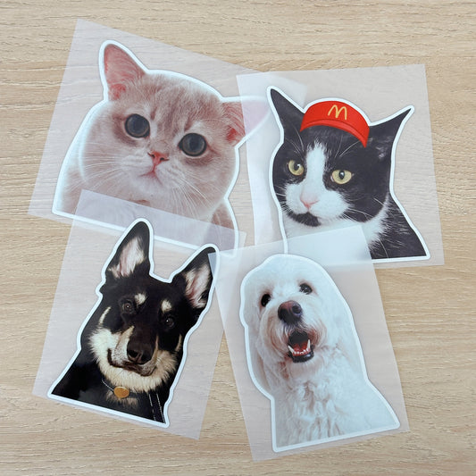 Custom Pet Photo Car Sticker