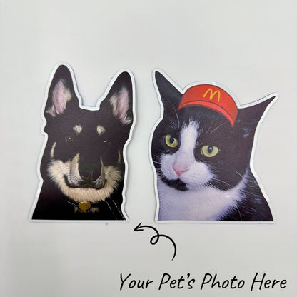 Custom Pet Photo Magnet