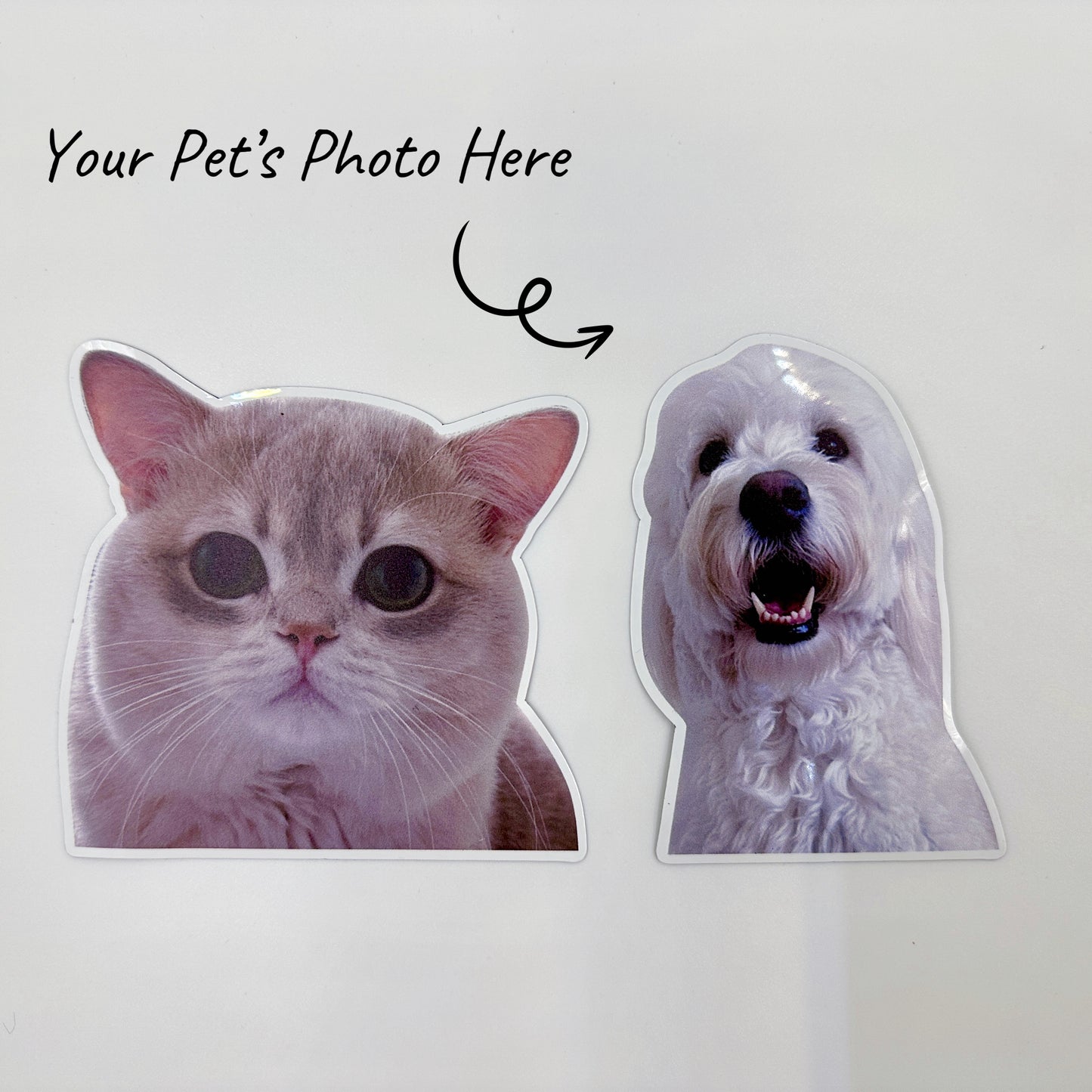 Custom Pet Photo Magnet