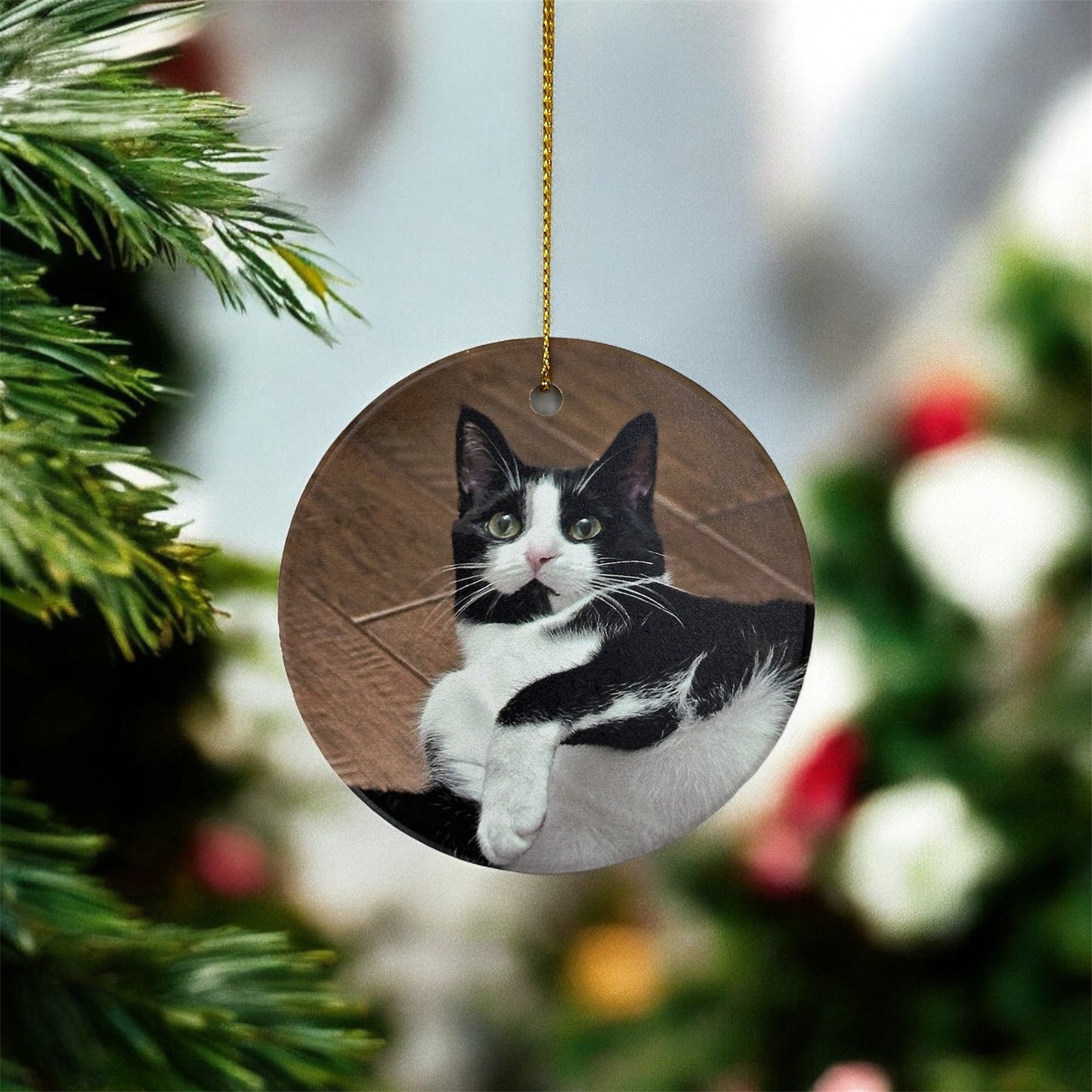 Custom Ceramic Pet Photo Ornament