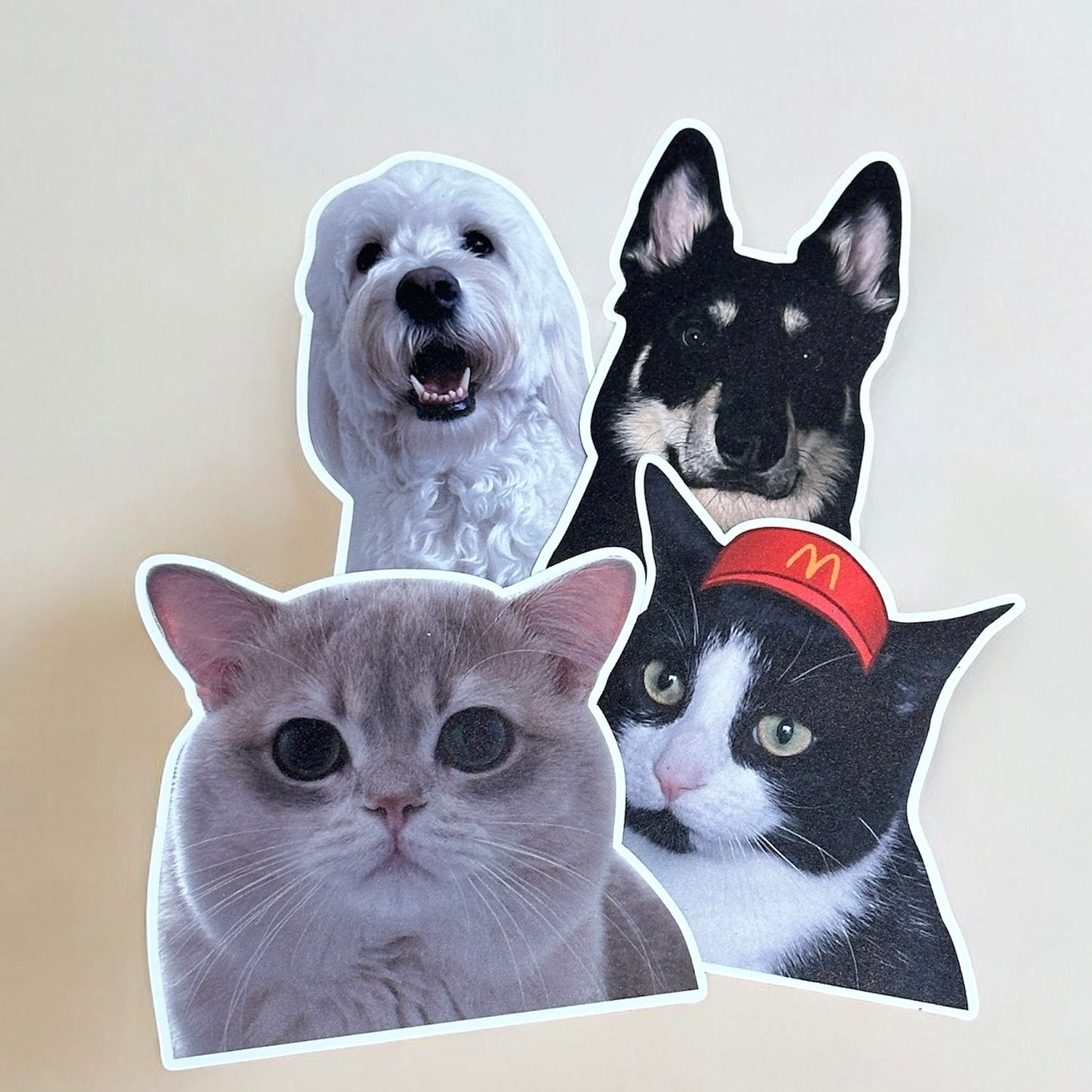 Custom Pet Photo Magnet